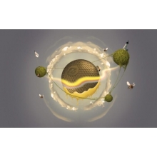 這個(gè)小學(xué)，有點(diǎn)開掛了！